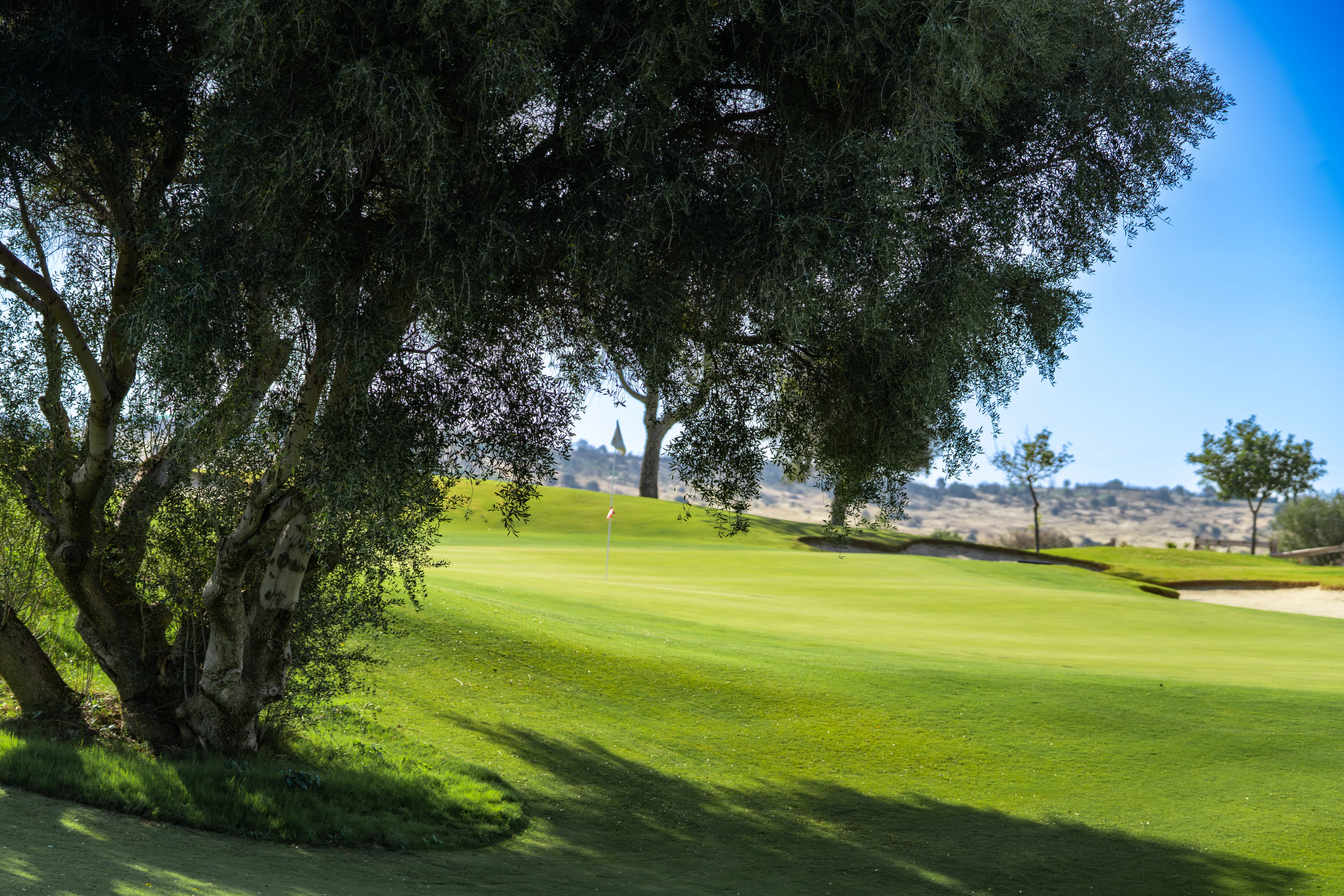Birdwatching and Golf in Estepona in Valle Romano